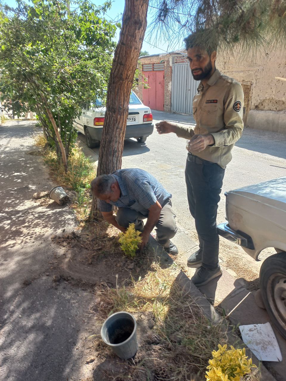 گل و درخت کاری مسیر میدان ناصرخسرو​